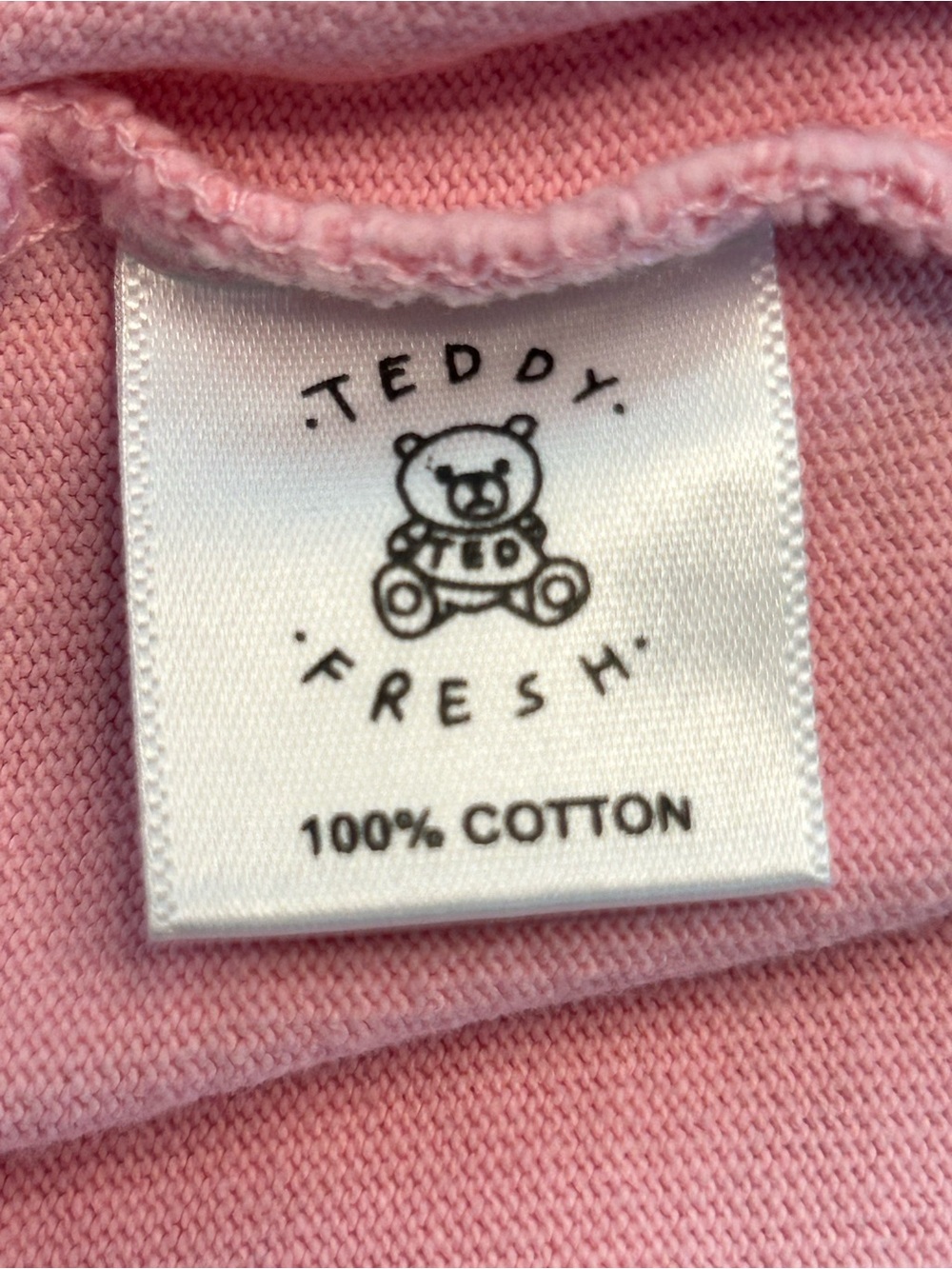 Teddy Fresh Colorblock Embroidered Boxy Crop Tee Women’s Size M Pastel skater - Picture 7 of 8